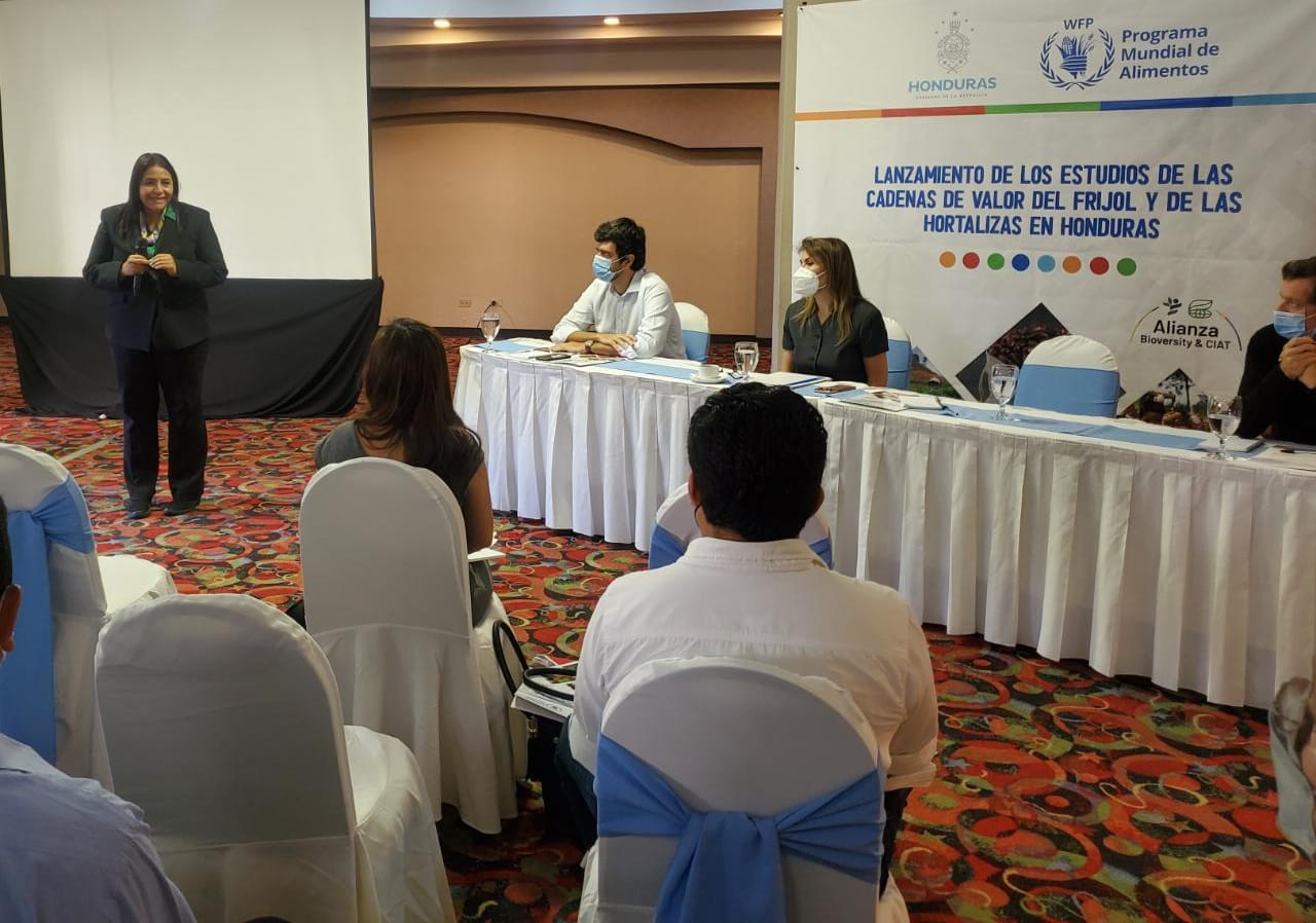 Ministra de la SAG Laura Elena Suazo Torres, participa en el Lanzamiento de los Estudios de las Cadenas de Valor del Frijol y de Las Hortalizas  en Honduras